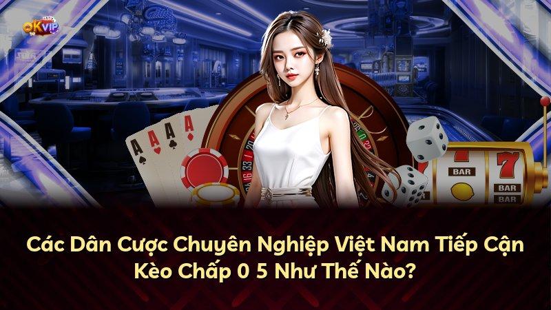 Các Dân Cược Chuyên Nghiệp Việt Nam Tiếp Cận Kèo Chấp 0 5 Như Thế Nào?