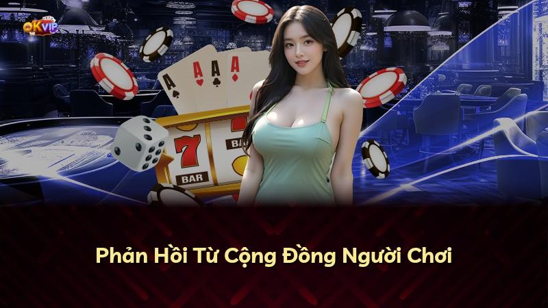 Phản Hồi Từ Cộng Đồng Người Chơi