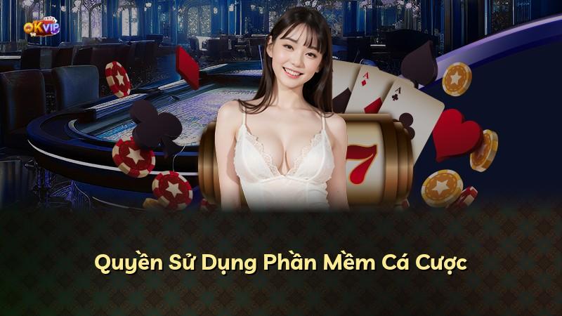 Quyền Sử Dụng Phần Mềm Cá Cược
